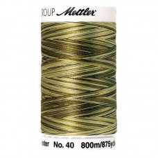 Нить вышивальная мультиколор POLY SHEEN MULTI, 800 м 9976 Mossy Tones