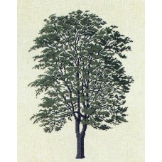 Набор для вышивания: Дерево 75 x 65 см HAANDARBEJDETS FREMME 30-6033