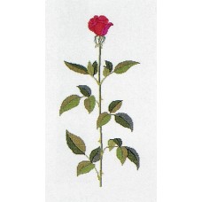 Набор для вышивания: Роза 25 x 50 см HAANDARBEJDETS FREMME 30-3861