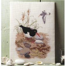 Набор для вышивания: Птица на пляже 28 x 40 см HAANDARBEJDETS FREMME 30-6106