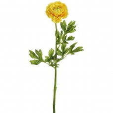 Цветок декоративный Ранункулюс