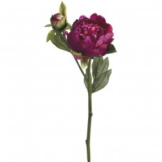 Цветок декоративный Пион