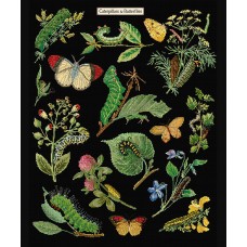 Набор для вышивания Гусеницы и бабочки, канва аида (черная) 16 ct 45 х 60 см THEA GOUVERNEUR 587.05
