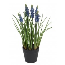 Цветок декоративный в кашпо Мускари
