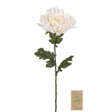 Цветок декоративный Хризантема