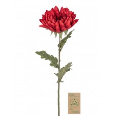 Цветок декоративный Хризантема