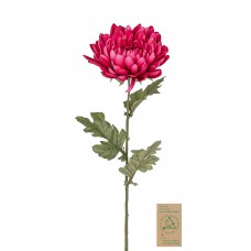 Цветок декоративный Хризантема