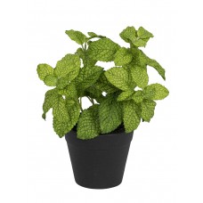 Цветок декоративный в кашпо Мята