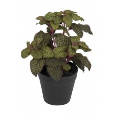 Цветок декоративный в кашпо Мята