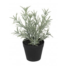 Цветок декоративный в кашпо Лаванда