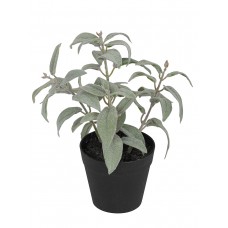 Цветок декоративный в кашпо Шалфей