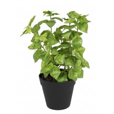 Цветок декоративный в кашпо Базилик