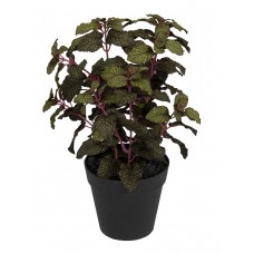 Цветок декоративный в кашпо Мята