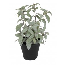 Цветок декоративный в кашпо Шалфей