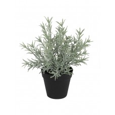 Цветок декоративный в кашпо Лаванда