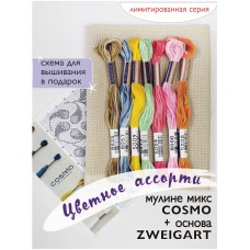 Мулине микс меланж Cosmo   Цветное ассорти