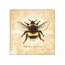 Набор для вышивания Bombus Iocorum   21 х 21 см LANARTE PN-0222208