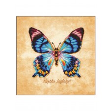 Набор для вышивания Papilio laglazei 21 х 21 см LANARTE PN-0222193