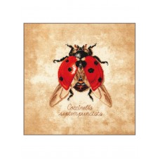 Набор для вышивания Coccinella septempunctata 21 х 21 см LANARTE PN-0222198