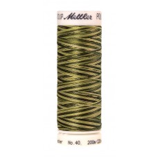 Нить для вышивания мультиколор,POLY SHEEN MULTI METTLER, 200 м 9976 Mossy Tones