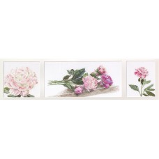 Набор для вышивания Пионы, канва аида 18 ct  82 х 19,5 см THEA GOUVERNEUR 433A