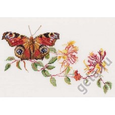Набор для вышивания Бабочка-Жимолость, канва аида 18 ct 29 х 18 см THEA GOUVERNEUR 439A