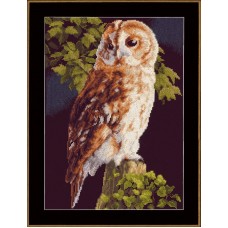 Набор для вышивания Owl  LANARTE 24 x 34 см LANARTE PN-0146814