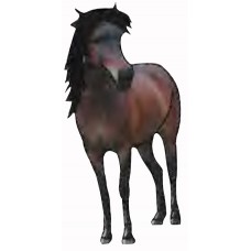 Термоаппликация HKM Pony mit schwarzer Mahne, 1 шт 6,5 х 4 см 0,125 см HKM 33202/1SB
