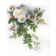 Набор для вышивания Белые розы по рисунку П. де Лонгпре 45 х 50 см МАРЬЯ ИСКУСНИЦА 06.002.45