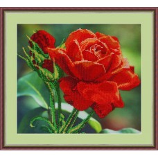 Набор для вышивания бисером Красная роза 30 х 27 см GALLA COLLECTION Л312