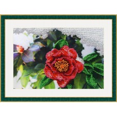 Набор для вышивания бисером Японская роза 27 х 18 см GALLA COLLECTION Л317