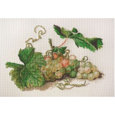 Набор для вышивания Ветка винограда по рисунку Ф. Толстого 27 х 20 см МАРЬЯ ИСКУСНИЦА 06.001.18