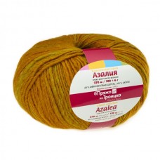 Пряжа для вязания ТРО Азалия (40% шерсть, 60% акрил) 10х100г/270м цв.5012 мулине