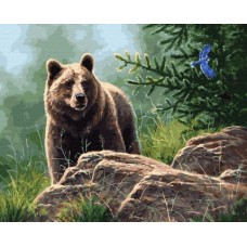 Картина по номерам с цветной схемой на холсте Molly KK0714 Сибирский бурый медведь 40х50 см
