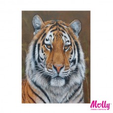 Картины по номерам Molly KH0250 Амурский тигр (11 Цветов) 15х20 см
