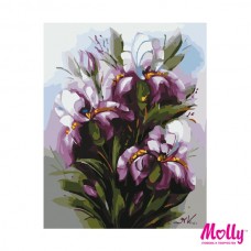 Картины по номерам Molly KH0060 Ирисы (25 Цветов) 40х50 см