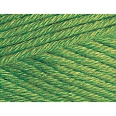 Пряжа для вязания Ализе Cotton gold plus (55% хлопок, 45% акрил) 5х100г/200м цв.492 зеленый