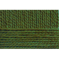 Пряжа для вязания ПЕХ Смесовая (70% акрил высокообъемный, 30% шерсть) 5х200г/200м цв.434 зеленый