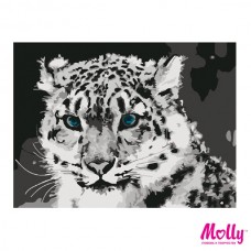 Набор юного художника Molly G-S007 Снежный барс (8 Цветов) 15х20 см
