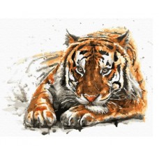Картина по номерам с цветной схемой на холсте Molly KK0685 Амурский тигр 30х40 см