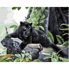 Набор Колор Кит картина по номерам КК.GX26072 Пантера 40х50