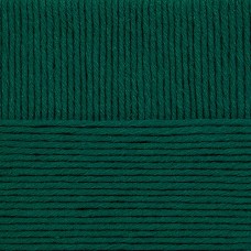 Пряжа для вязания ПЕХ Молодёжная (91% акрил высокообъемный, 9% полиамид) 5х200г/280м цв.573 т.изумруд
