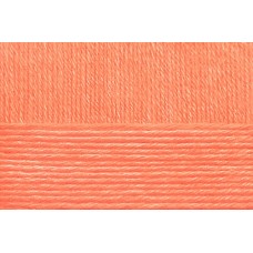 Пряжа для вязания ПЕХ Школьная (100% акрил) 5х50г/150м цв.018 персик