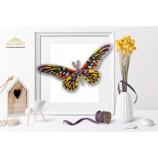 Пластиковая перфорированная основа БЛАГОВЕСТ БС-118 3-D Бабочка. Papilio antimachus 10х12 см