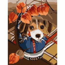 Картины по номерам Molly KH0795 Озорной щенок (18 цветов) 15х20 см