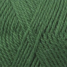 Пряжа для вязания КАМТ Аргентинская шерсть (100% импортная п/т шерсть) 10х100г/200м цв.110 зеленый