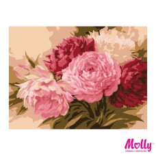 Набор юного художника Molly KH0033/G-S006 Оттенки розового (12 Цветов) 15х20 см