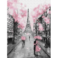 Картины по номерам Гламурный Париж EX6257 30х40 тм Цветной