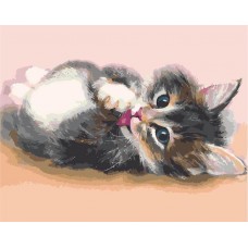 Картины по номерам Цветной MG2076 Милый котенок 40х50 см 