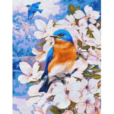 Картины по номерам Весенние птички EX5943 30х40 тм Цветной